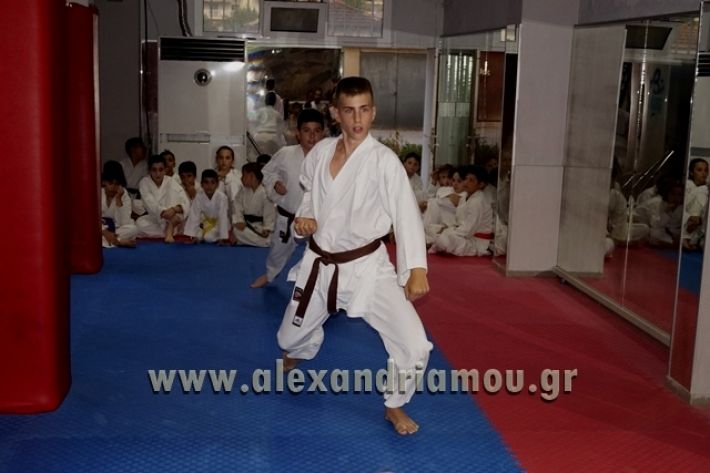 SHOTOKAN_KARATE_ALEXANDREIA007