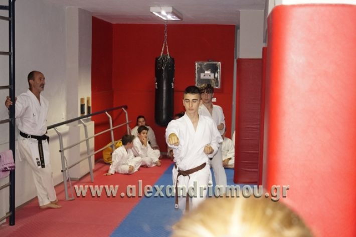 SHOTOKAN_KARATE_ALEXANDREIA009