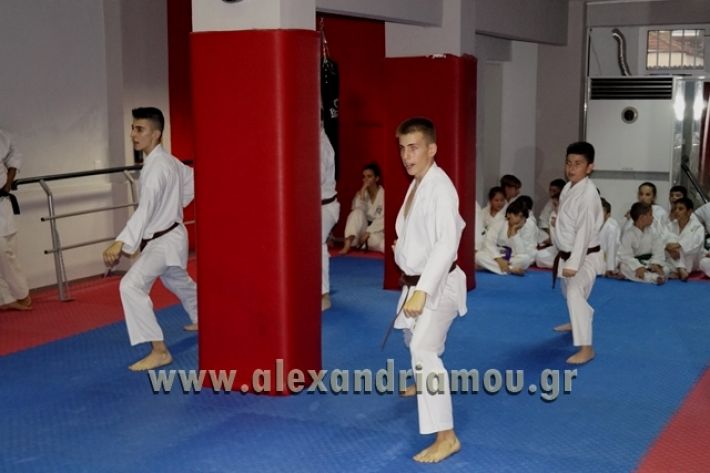 SHOTOKAN_KARATE_ALEXANDREIA010