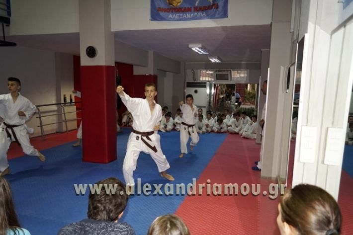 SHOTOKAN_KARATE_ALEXANDREIA012