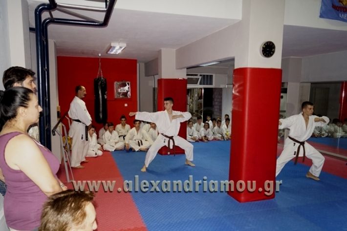 SHOTOKAN_KARATE_ALEXANDREIA016