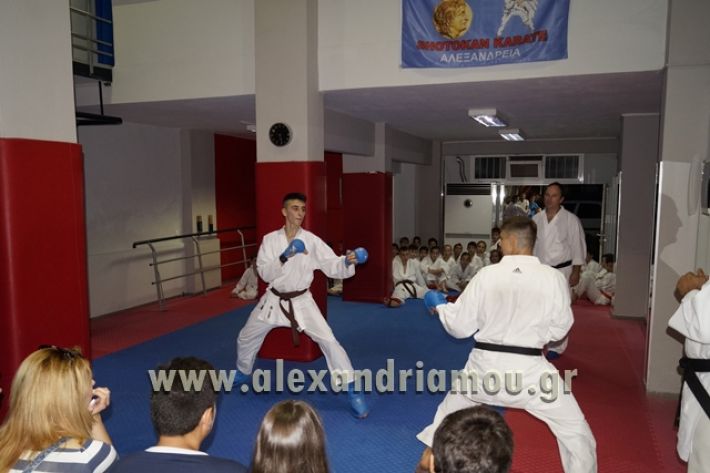 SHOTOKAN_KARATE_ALEXANDREIA018