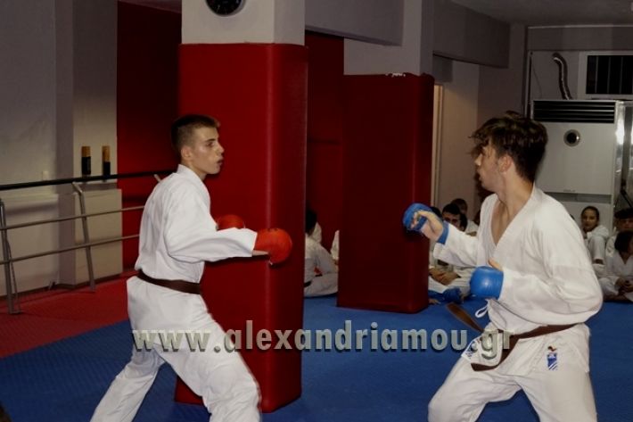 SHOTOKAN_KARATE_ALEXANDREIA020