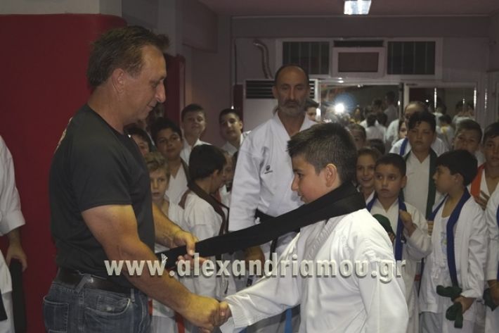 SHOTOKAN_KARATE_ALEXANDREIA023