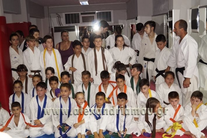 SHOTOKAN_KARATE_ALEXANDREIA028