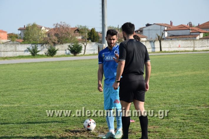 alexandriamou_ae_koyfalia111