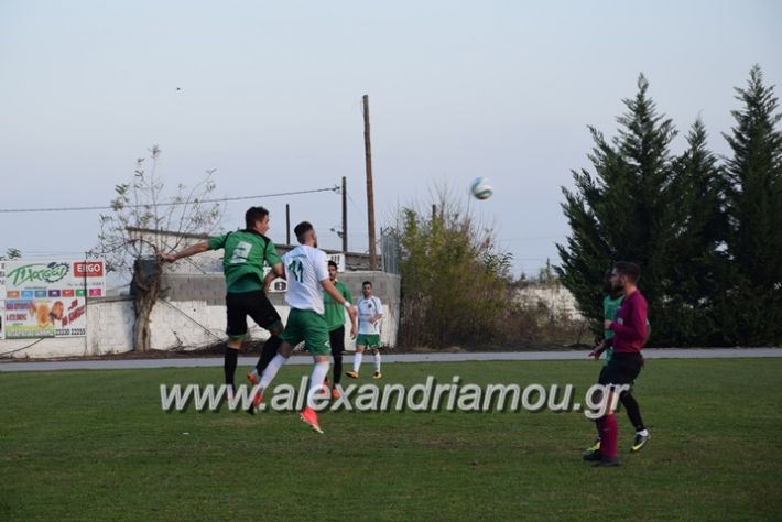 alexandriamou_a.emakedonikos17048