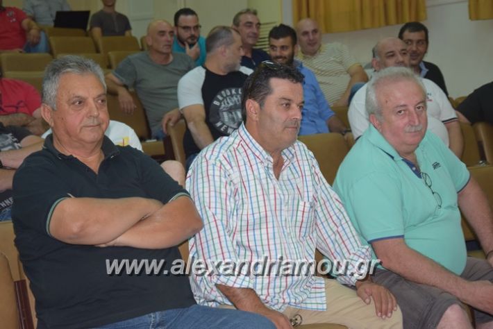 alexandriamou.gr_ae_syneleusi17004