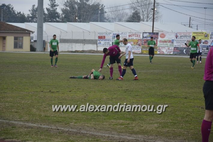 alexandriamou_paetrikala20188021