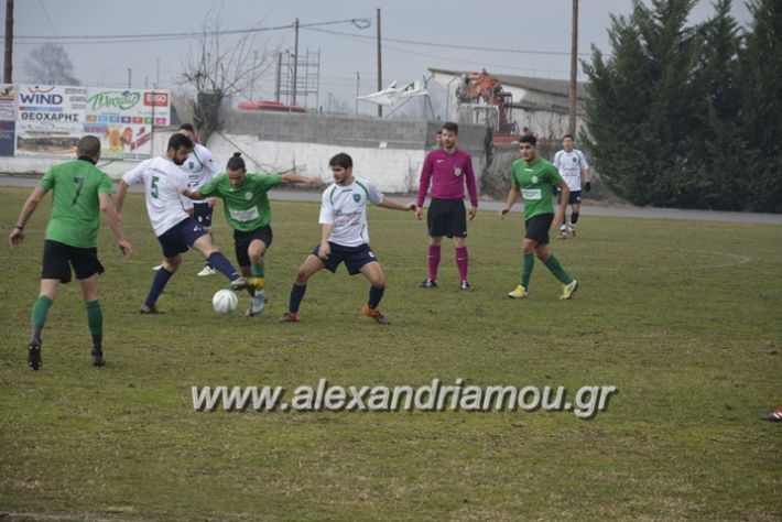 alexandriamou_paetrikala20188059