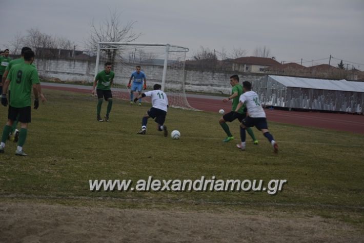 alexandriamou_paetrikala20188113