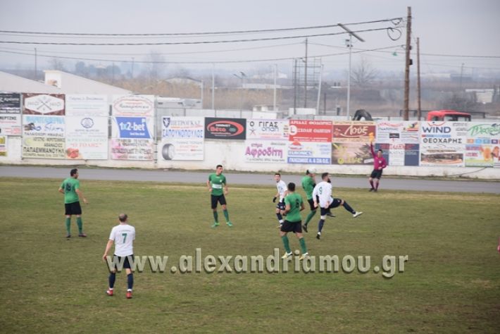 alexandriamou_aetrikala2018003