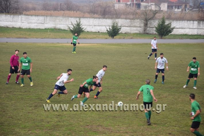 alexandriamou_aetrikala2018008