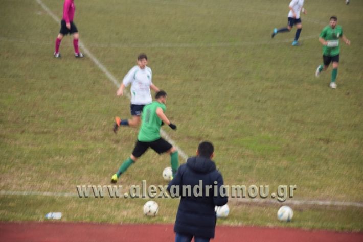 alexandriamou_aetrikala2018012