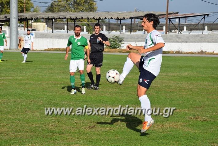 alexandriamou.gr_a.f.s_asteras044