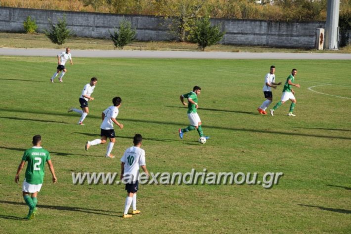 alexandriamou.gr_a.f.s_asteras093