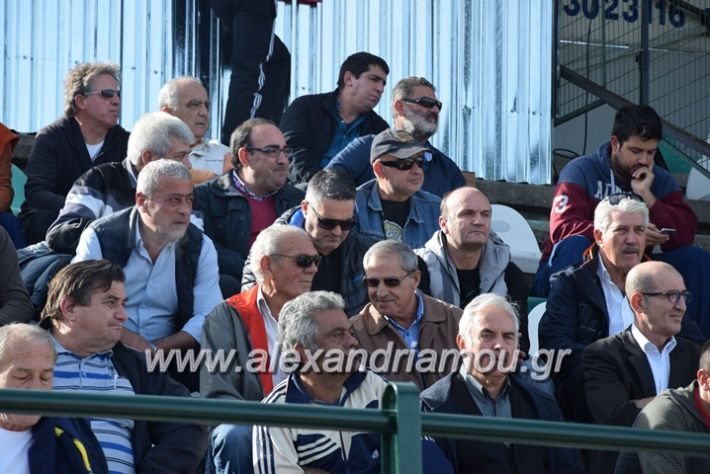 alexandriamou.gr_a.f.salex_edesaikos08029