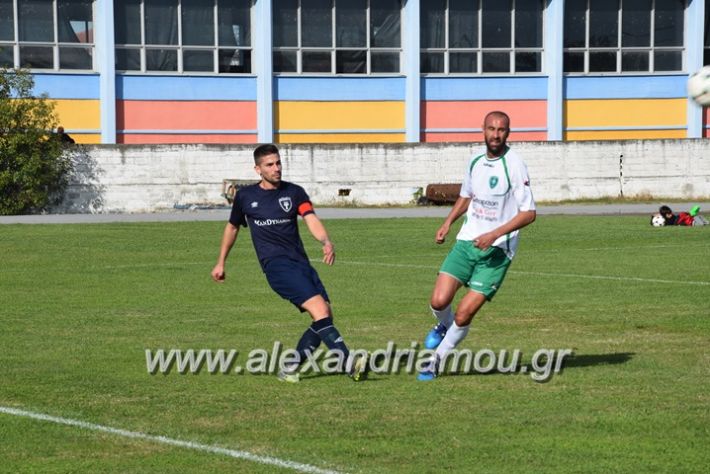 alexandriamou.gr_a.f.salex_edesaikos08039