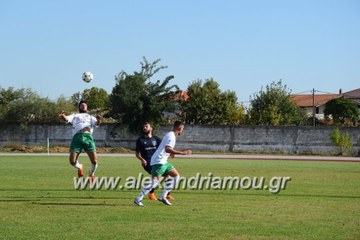 alexandriamou.gr_a.f.salex_edesaikos08040