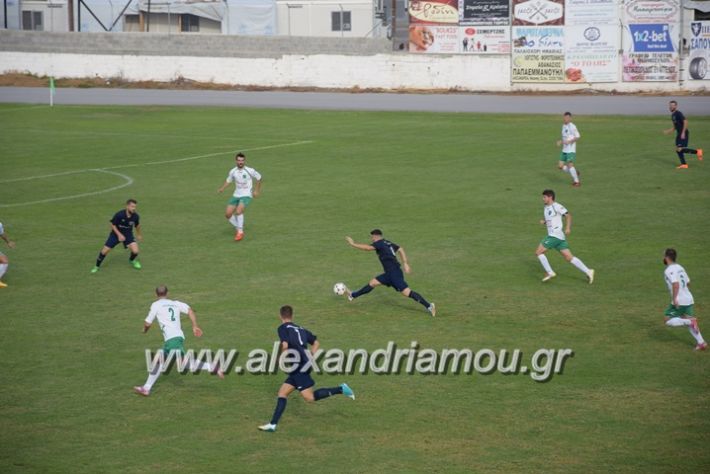 alexandriamou.gr_a.f.salex_edesaikos08065
