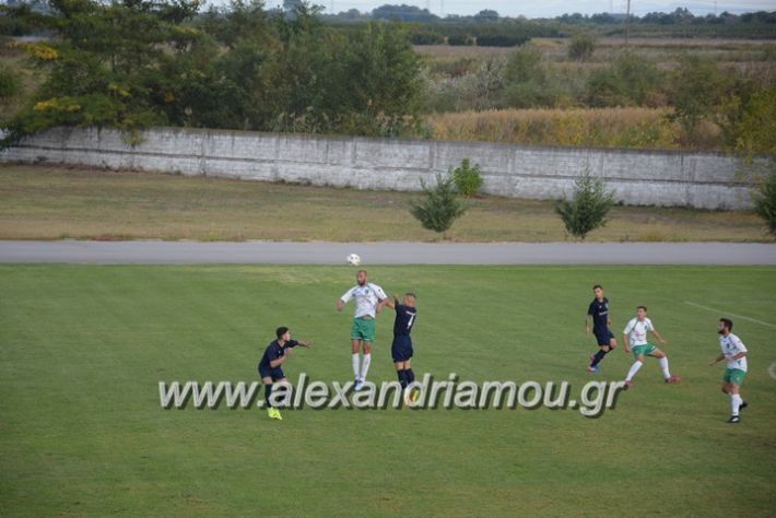 alexandriamou.gr_a.f.salex_edesaikos08066