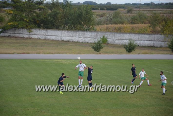 alexandriamou.gr_a.f.salex_edesaikos08066