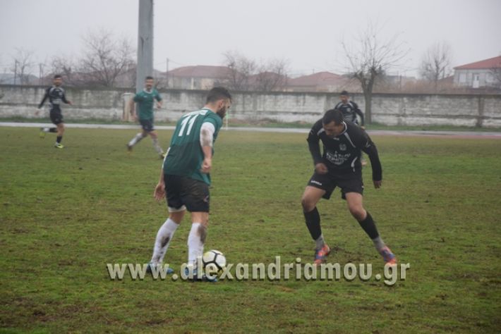 alexandriamou.gr_aepaokkk010