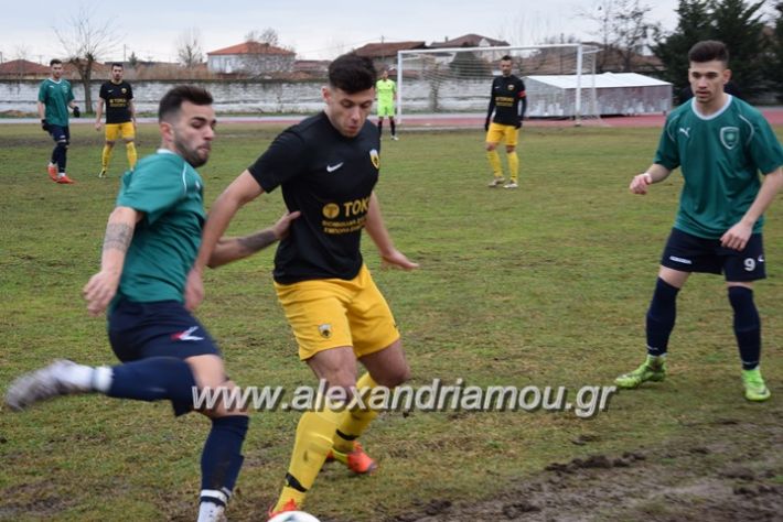 alexandriamou.gr_ae.karitsa2018027