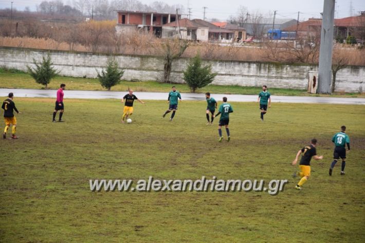 alexandriamou.gr_ae.karitsa2018045