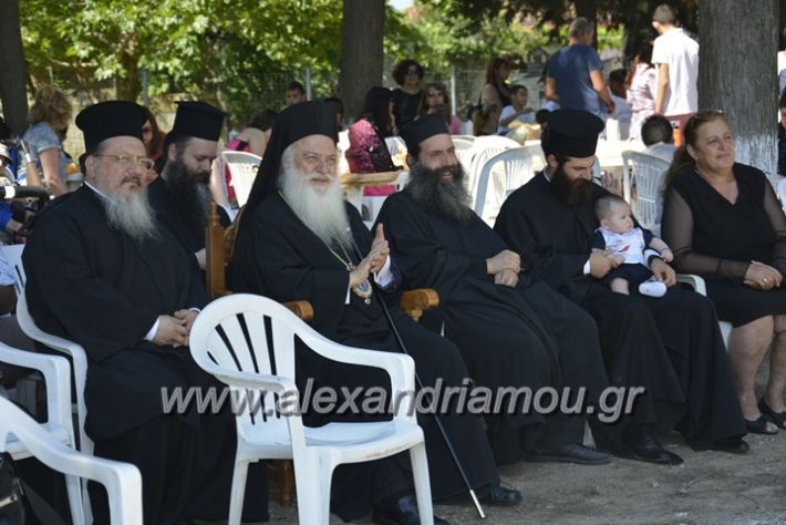 alexandriamou.gr_agia_paraskeui_rapsomaniki4.6197