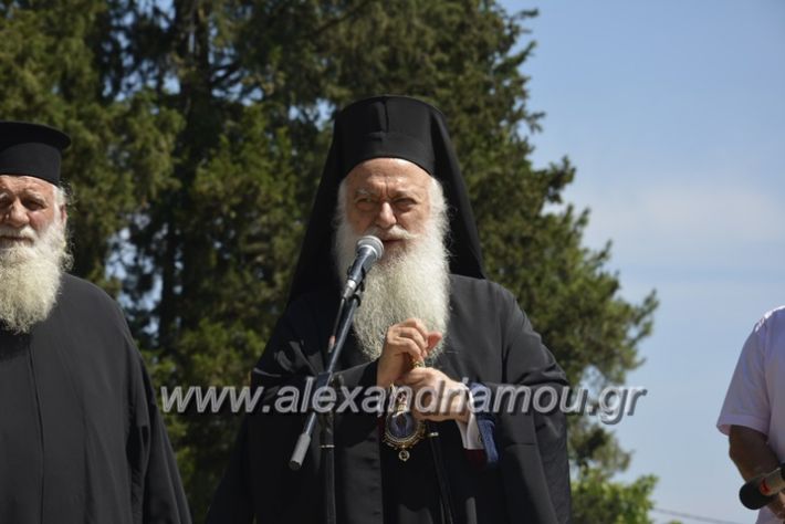 alexandriamou.gr_agia_paraskeui_rapsomaniki4.6203