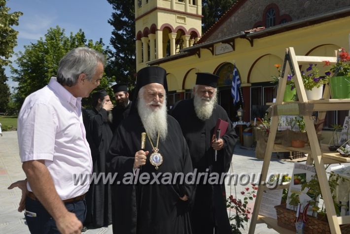 alexandriamou.gr_agia_paraskeui_rapsomaniki4.6222