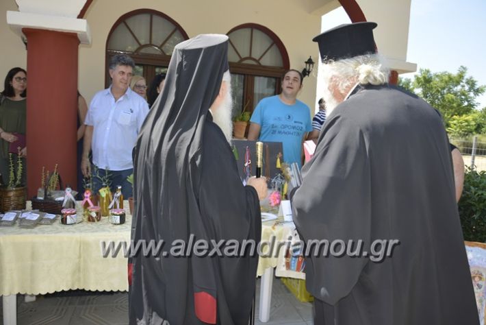 alexandriamou.gr_agia_paraskeui_rapsomaniki4.6224