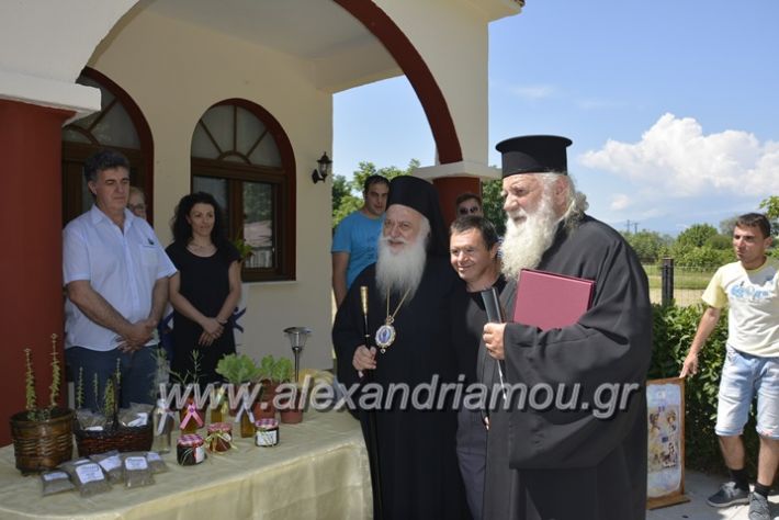 alexandriamou.gr_agia_paraskeui_rapsomaniki4.6232