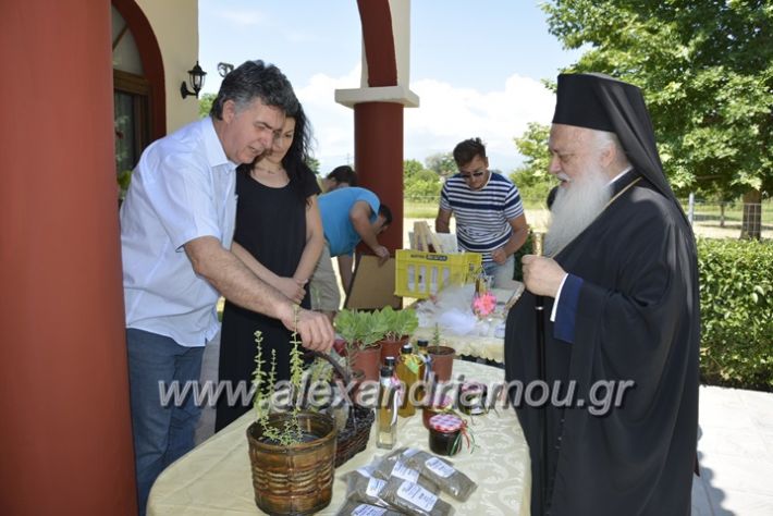 alexandriamou.gr_agia_paraskeui_rapsomaniki4.6235