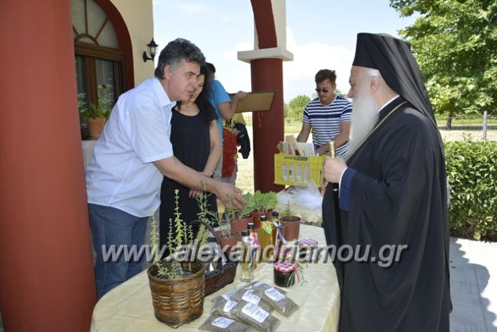 alexandriamou.gr_agia_paraskeui_rapsomaniki4.6236