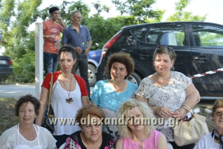 alexandriamou_agtriada_trikala17030