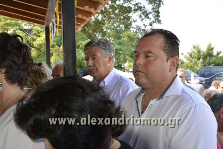 alexandriamou_agtriada_trikala17060