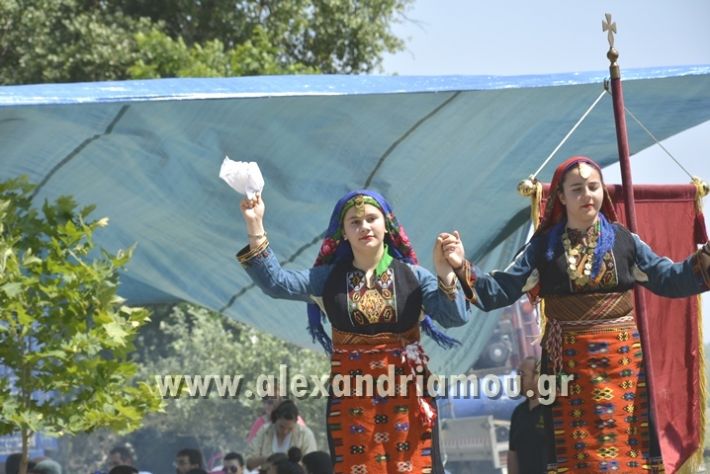 alexandriamou_agtriada_trikala17111