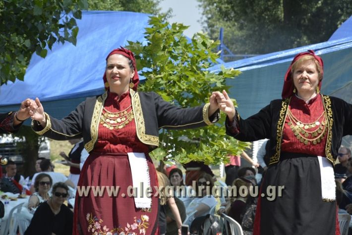 alexandriamou_agtriada_trikala17196