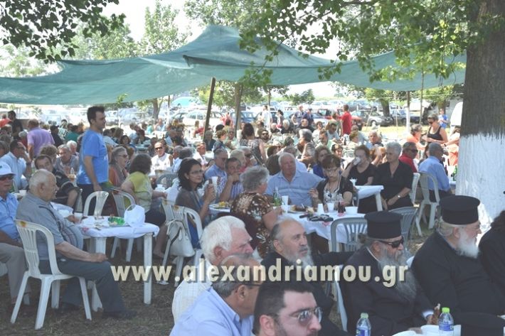 alexandriamou_agtriada_trikala17366