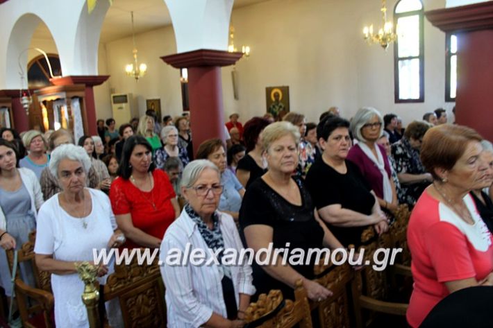 alexandriamou.gr_agiosalexandros2019IMG_4277