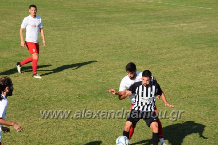 alexandriamou.gr_agkathia201810077