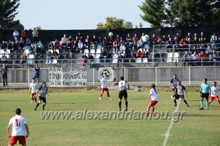 alexandriamou.gr_agkathia201810102