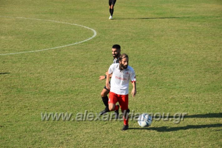 alexandriamou.gr_agkathia201810104