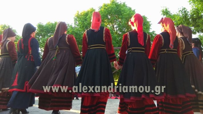 alexandriamou.gr_agkathia23.04.18028