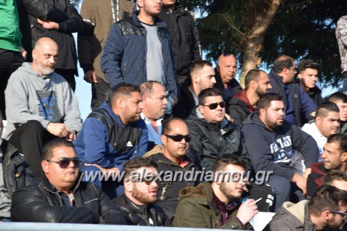 alexandriamou.gr_agkathia_paok007