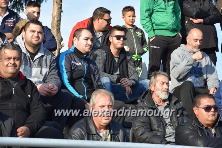 alexandriamou.gr_agkathia_paok009