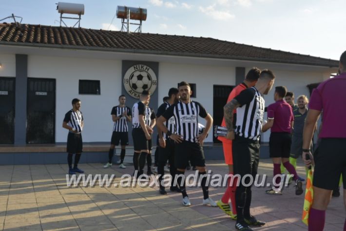 alexandriamou.gr_agkathiaaridaia11.11010