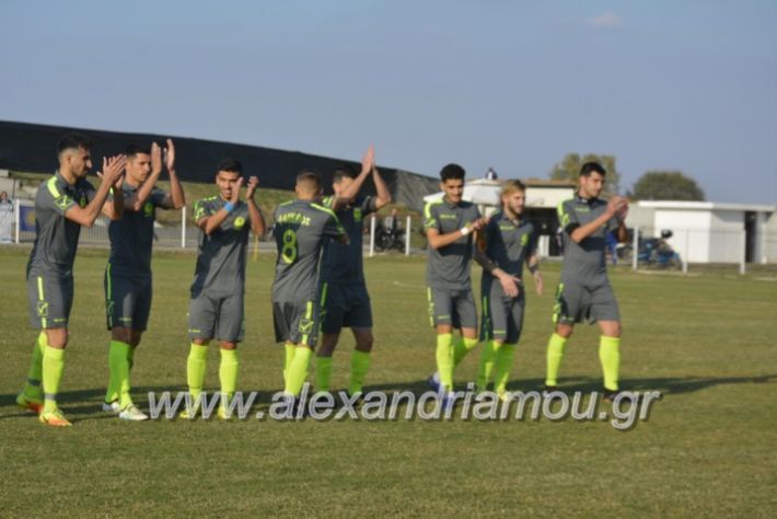 alexandriamou.gr_agkathiaaridaia11.11012